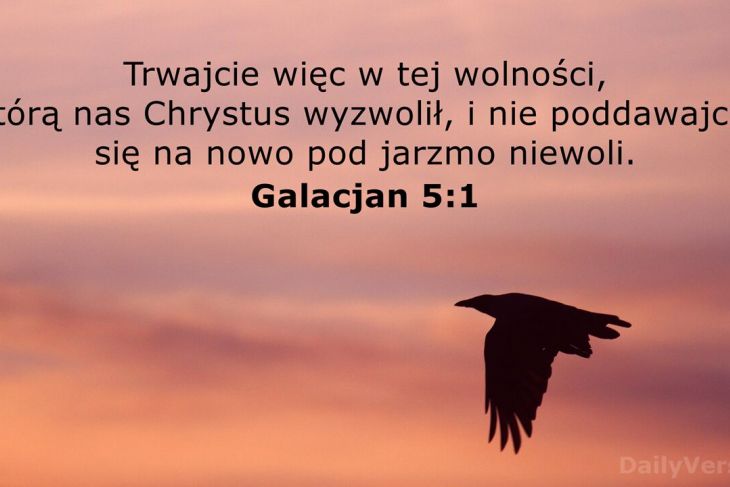 VI Niedziela Zwykła